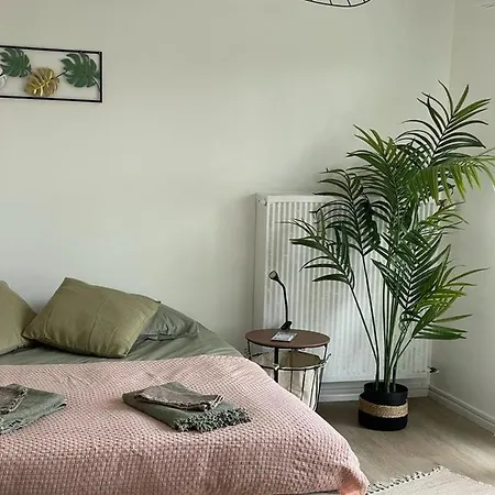 Studio T A 5Mn Euro Airport Avec Terrasse Saint-Louis  Extérieur photo