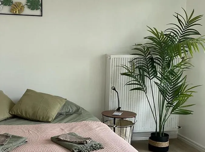 Studio T A 5Mn Euro Airport Avec Terrasse