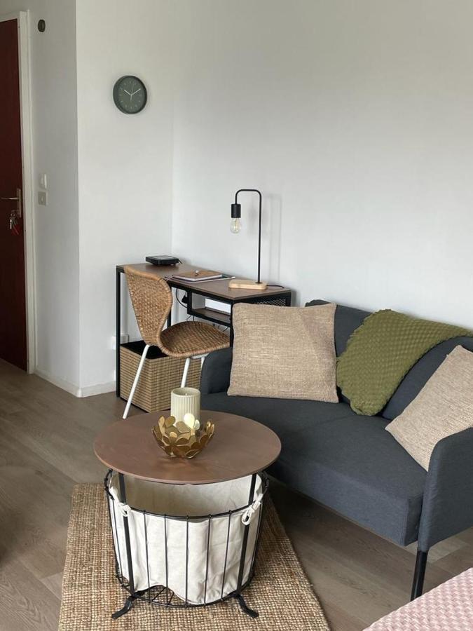 Appartement T A 5mn Euro Airport Avec Terrasse