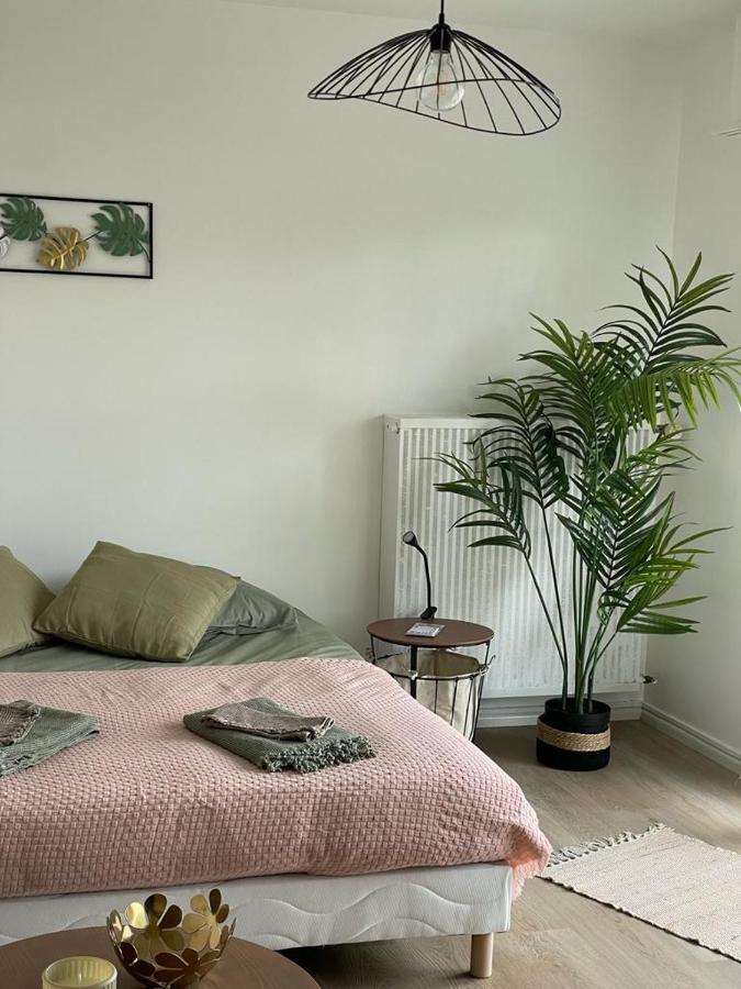 T A 5mn Euro Airport Avec Terrasse * Saint-Louis (Haut-Rhin)