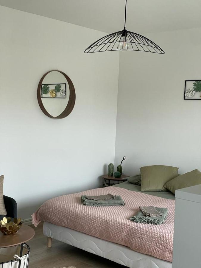 Appartement T A 5mn Euro Airport Avec Terrasse *